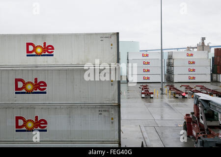 See-Container mit dem Logo der Dole Food Company, Inc., in einer Versand-Anlage in San Diego, Kalifornien am 31. Januar 2016. Stockfoto