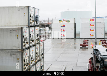 See-Container mit dem Logo der Dole Food Company, Inc., in einer Versand-Anlage in San Diego, Kalifornien am 31. Januar 2016. Stockfoto