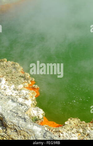 Champagne Pool in die atemberaubende und erstaunliche geothermischen Landschaft von Wai-O-Tapu Thermalbereich, Rotorua, Neuseeland. Stockfoto