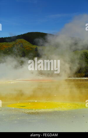 Champagne Pool in die atemberaubende und erstaunliche geothermischen Landschaft von Wai-O-Tapu Thermalbereich, Rotorua, Neuseeland. Stockfoto