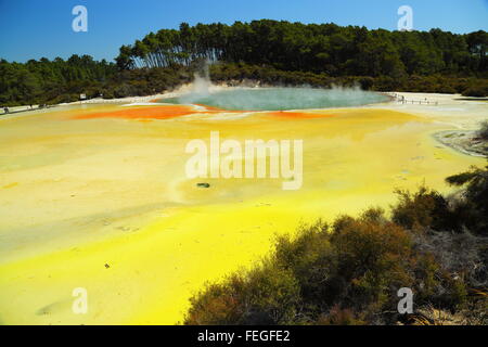 Champagne Pool in die atemberaubende und erstaunliche geothermischen Landschaft von Wai-O-Tapu Thermalbereich, Rotorua, Neuseeland. Stockfoto