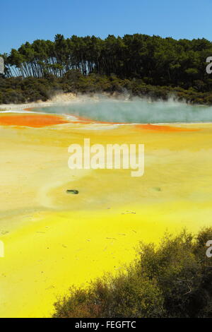 Champagne Pool in die atemberaubende und erstaunliche geothermischen Landschaft von Wai-O-Tapu Thermalbereich, Rotorua, Neuseeland. Stockfoto