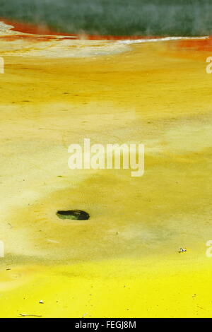 Champagne Pool in die atemberaubende und erstaunliche geothermischen Landschaft von Wai-O-Tapu Thermalbereich, Rotorua, Neuseeland. Stockfoto