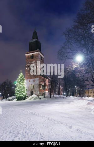 Weihnachtsbaum in der Nähe von Kathedrale von Turku in Finnland, Skandinavien Stockfoto