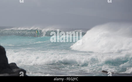 Ein Windsurfer reitet die Wellen vor dem Hoʻokipa Strand auf der Insel Maui, Hawaii (USA) Stockfoto