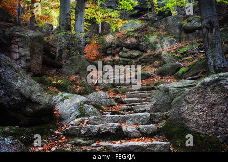 Alte Steintreppe im herbstlichen Bergwald Stockfoto