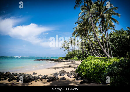 Strand auf der Insel Maui, Hawaii (USA) Stockfoto