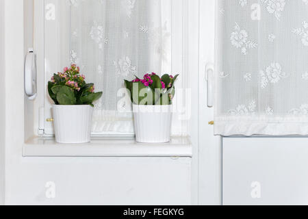 Zwei Töpfe auf der Fensterbank. Weiße Schale mit Blume Pflanze neben Fenster. Moderne minimalistische Inneneinrichtung Stockfoto