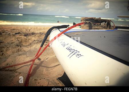 Stand up Paddle Board liegt am Strand von Spreckesville auf der Insel Maui, Hawaii, USA Stockfoto