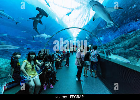 S.E.A Aquarium in Singapur Stockfoto