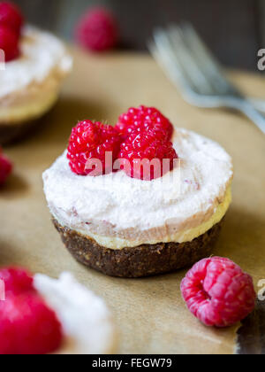 Vegane Mini drei Farben "Käsekuchen" vorgenommen von Cashew-Nüssen, Kokos-Creme und Datumsangaben, serviert mit Himbeeren. Stockfoto