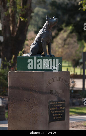 Statue des Hundes auf Tuckerbox bei Schlange Gully, fünf Meilen von Gundagai NSW Australia Stockfoto