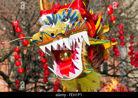 2016. Mancheser Chinesische Neujahrs-Drachenparade. Die „Jahr der Affen“-Parade wurde von einem spektakulären 175 Meter langen Drachen angeführt, wobei die Prozession vom Albert Square vor dem Rathaus nach Chinatown aufbricht und der traditionelle Kern der jährlichen Feierlichkeiten zum chinesischen Neujahr in Manchester ist. Quelle: Cernan Elias/Alamy Live News Stockfoto