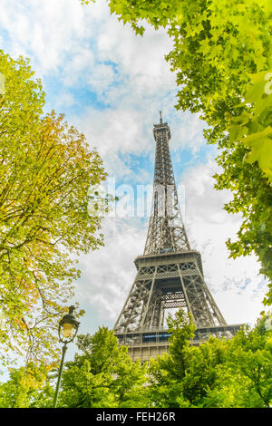 Eiffelturm gesehen durch grüne Laub Stockfoto