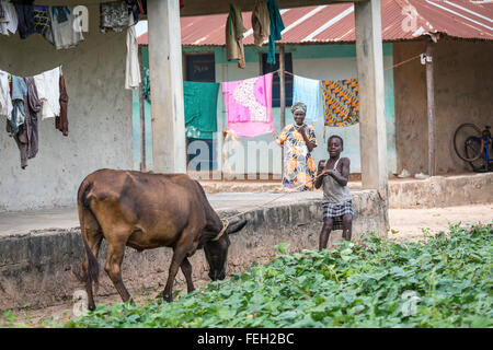 Eine bunt gekleidete Frau Uhren einen jungen hüten ein Amimal in einem Dorf in Guinea Bissau Stockfoto