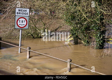 Reybridge, Wiltshire, UK. 7. Februar 2016. Tiefen Fluten wurde die Zufahrt zum Weiler Reybridge geschlossen. Die unerbittliche Starkregen in den letzten 12 Stunden hat der Fluß Avon an seine Ufer überschwemmen, Häuser, Gärten und Felder verursacht. Bildnachweis: Wayne Farrell/Alamy Live-Nachrichten Stockfoto