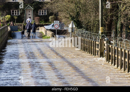 Reybridge, Wiltshire, UK. 7. Februar 2016. Tiefen Fluten wurde die Zufahrt zum Weiler Reybridge geschlossen. Die unerbittliche Starkregen in den letzten 12 Stunden hat der Fluß Avon an seine Ufer überschwemmen, Häuser, Gärten und Felder verursacht. Bildnachweis: Wayne Farrell/Alamy Live-Nachrichten Stockfoto