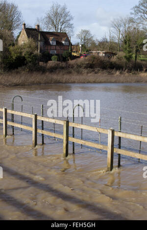 Reybridge, Wiltshire, UK. 7. Februar 2016. Tiefen Fluten wurde die Zufahrt zum Weiler Reybridge geschlossen. Die unerbittliche Starkregen in den letzten 12 Stunden hat der Fluß Avon an seine Ufer überschwemmen, Häuser, Gärten und Felder verursacht. Bildnachweis: Wayne Farrell/Alamy Live-Nachrichten Stockfoto