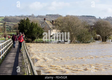 Reybridge, Wiltshire, UK. 7. Februar 2016. Tiefen Fluten wurde die Zufahrt zum Weiler Reybridge geschlossen. Die unerbittliche Starkregen in den letzten 12 Stunden hat der Fluß Avon an seine Ufer überschwemmen, Häuser, Gärten und Felder verursacht. Bildnachweis: Wayne Farrell/Alamy Live-Nachrichten Stockfoto