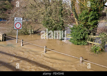 Reybridge, Wiltshire, UK. 7. Februar 2016. Tiefen Fluten wurde die Zufahrt zum Weiler Reybridge geschlossen. Die unerbittliche Starkregen in den letzten 12 Stunden hat der Fluß Avon an seine Ufer überschwemmen, Häuser, Gärten und Felder verursacht. Bildnachweis: Wayne Farrell/Alamy Live-Nachrichten Stockfoto