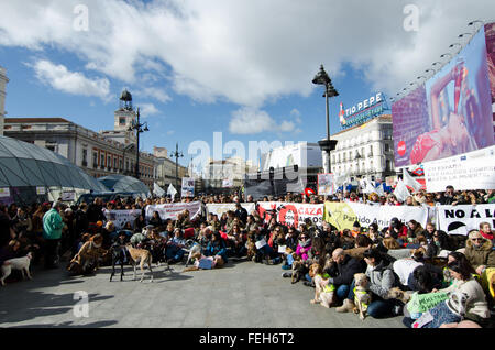 Madrid, Spanien. 7. Februar 2016. Tausende von Demonstranten am Platz Puerta del Sol in Madrid protestieren gegen die Jagd mit Hunden. Bildnachweis: Valentin Sama-Rojo/Alamy Live-Nachrichten. Stockfoto