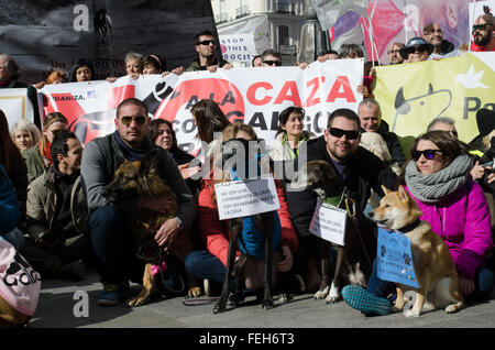 Madrid, Spanien. 7. Februar 2016. Demonstrator mit ihren Hunden tragen Plakate gegen die Jagd während der Demonstration statt in Madrid. Bildnachweis: Valentin Sama-Rojo/Alamy Live-Nachrichten. Stockfoto