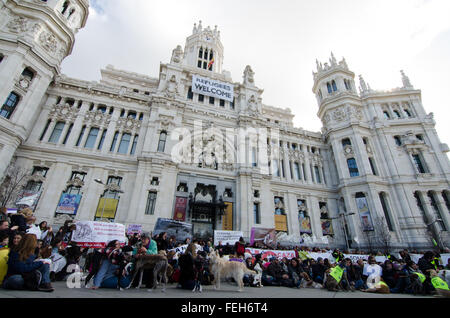 Madrid, Spanien. 7. Februar 2016. Demonstranten versammelten sich in Madrid City Hall zu protestieren gegen die Jagd mit Hunden während der Demonstration in Madrid statt. Bildnachweis: Valentin Sama-Rojo/Alamy Live-Nachrichten. Stockfoto