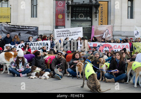 Madrid, Spanien. 7. Februar 2016. Demonstranten versammelten sich in Madrid City Hall zu protestieren gegen die Jagd mit Hunden während der Demonstration in Madrid statt. Bildnachweis: Valentin Sama-Rojo/Alamy Live-Nachrichten. Stockfoto