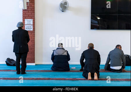 London, UK.  7. Februar 2016.  Gläubige im Gebetsraum. Das East London Moschee & London muslimische Zentrum, im Herzen von Tower Hamlets und Heimat von Großbritanniens größten muslimischen Gemeinschaft, öffnet seine Türen im Rahmen des "Besuchen Sie meine Moschee-Tag", eine nationale Initiative, gefördert von der Muslim Council of Britain, wo Moscheen in ganz Großbritannien zu organisieren Tage der offenen Tür um die britische Öffentlichkeit, was geht in eine Moschee zu sehen und zu verstehen, seine Rolle im muslimischen Leben zu ermöglichen.   Bildnachweis: Stephen Chung / Alamy Live News Stockfoto