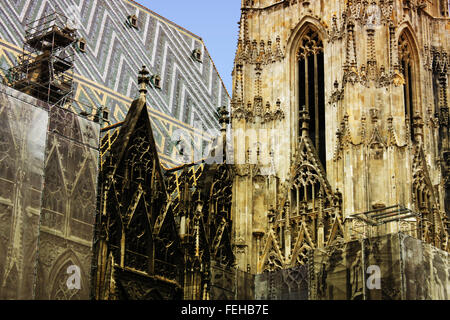 Große Details der Architektur am Stephansdom in Wien, Österreich Stockfoto