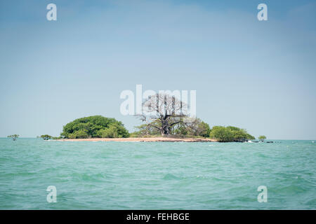 Eine kleine Insel in der Bijagos-Archipel, Guinea Bissau Stockfoto