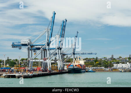 AUCKLAND, Neuseeland - 8. November 2015: Cargo Schiff und Container-Krane auf Fergusson Wharf an Ports of Auckland. Stockfoto