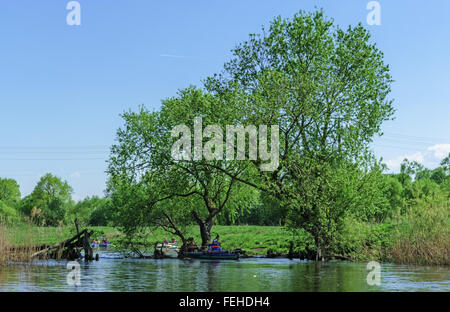 Frühling Fluss reisen Studenten Schulgruppe auf Kanus - Mai 2011. Stockfoto