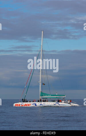 Touristen auf einem Katamaran für eine Whale-watching Tour, Funchal, Madeira Stockfoto