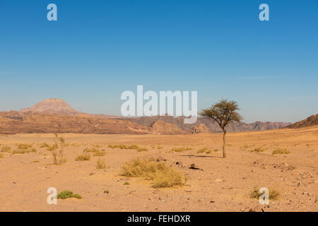 Sinai Wüste Landschaft Stockfoto