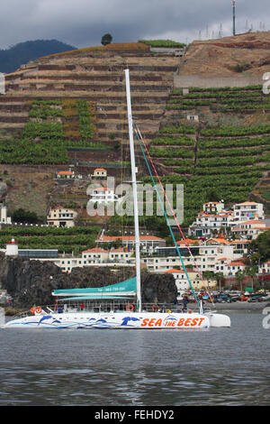 Touristen auf einem Katamaran für eine Whale-watching Tour, Funchal, Madeira Stockfoto