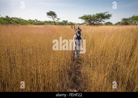 Wandern durch die Sarannah auf Orango, die größte Insel der Bijagos, Guinea Bissau Stockfoto