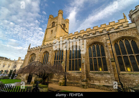 Große Str. Marys Kirche, Cambridge, UK - 1519 Stockfoto