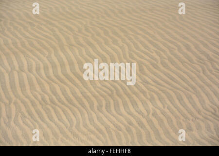 Textur, Muster, Hintergrund, der Sand in den Dünen von Maspalomas, Gran Canaria, Gran Canaria, Spanien Stockfoto