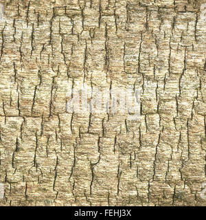 nahtloses aneinander alte Holz Hintergrund Stockfoto