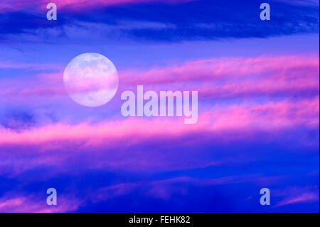 Mond Wolken ist eine weiche schöne Wolkengebilde über einen blauen Himmel mit Silhouette Vogelschwarm fliegt wie ein hellen Vollmond. Stockfoto