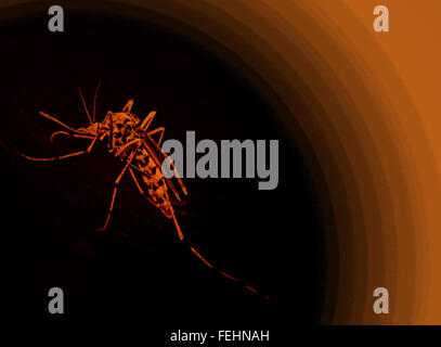 Gefahr-Moskito-Hintergrund. Aedes Albopictus, Tigermücke. Stockfoto