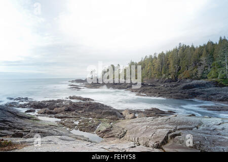 Botany Bay Langzeitbelichtung Ansicht, Port Renfrew Stockfoto