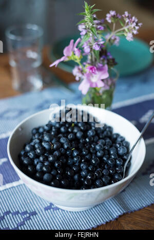 Weiße Schale voll frisch gepflückten Heidelbeeren auf Tisch mit skandinavischen Interieur-Design Stockfoto