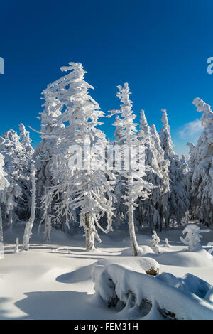 Winter-Landschaft am Brocken, Nationalpark Harz, Deutschland Stockfoto