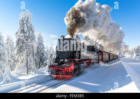 Die Brockenbahn, Nationalpark Harz, Sachsen-Anhalt, Deutschland Stockfoto