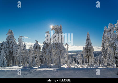 Winter-Landschaft am Brocken, Nationalpark Harz, Deutschland Stockfoto