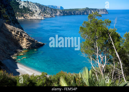 Es Coll Baix Strand. Alcudia. Die Insel Mallorca. Spanien Stockfoto