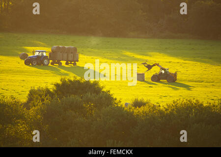 Heu machen in Devon Stockfoto