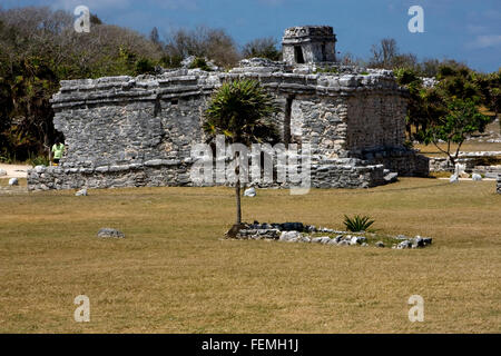 eine wilde Winkel des Tempels Tulum in Mexiko Amerika Stockfoto